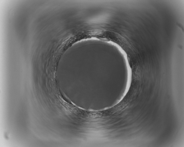 X0000099301441200805301123