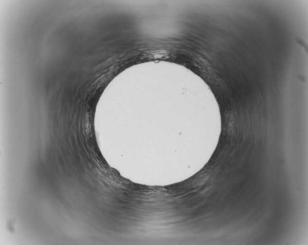 X0000099301442200805301123