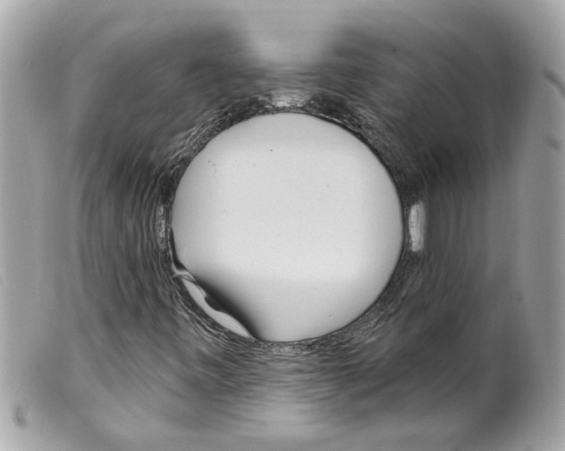 X0000099301443200805301123