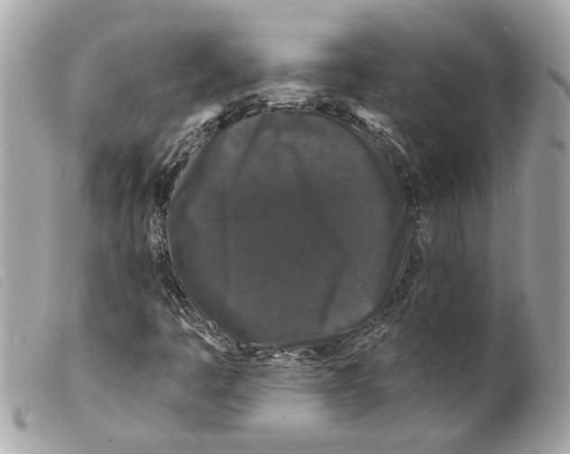 X0000099301445200805301123