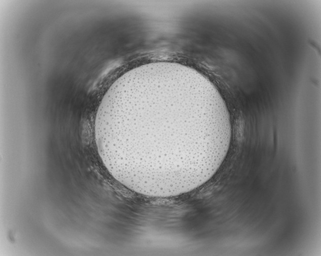 X0000099301446200805301123