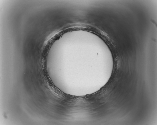 X0000099301448200805301123