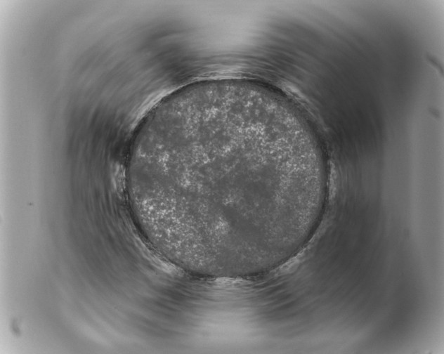 X0000099301449200805301123