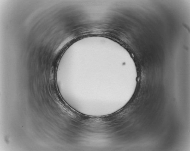 X0000099301450200805301123