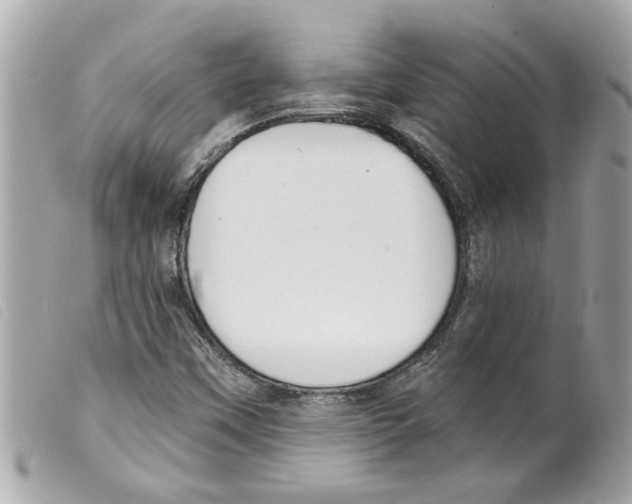 X0000099301451200805301123