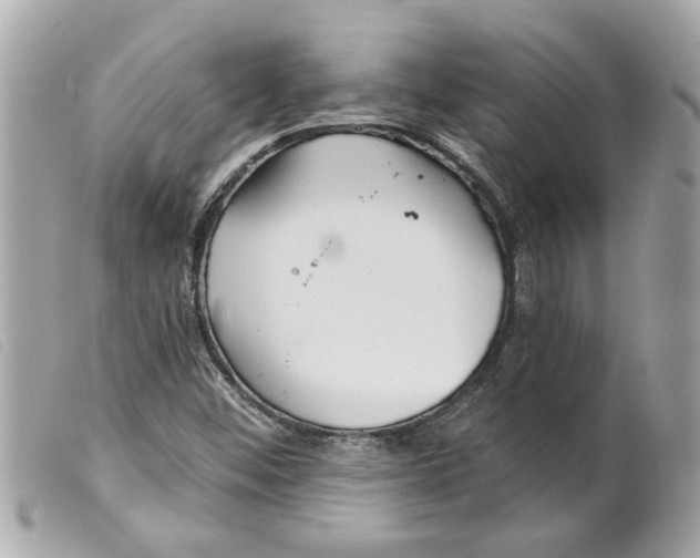 X0000099301452200805301123