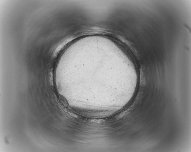 X0000099301453200805301123