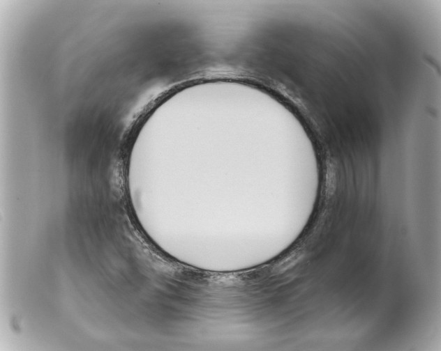 X0000099301454200805301123