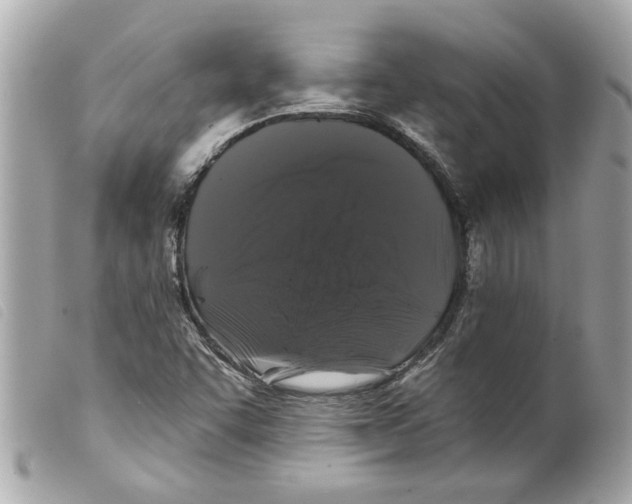 X0000099301455200805301123