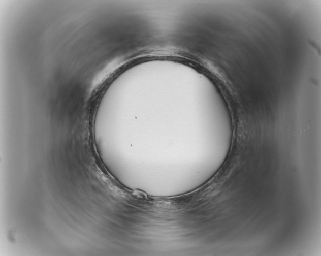 X0000099301456200805301123