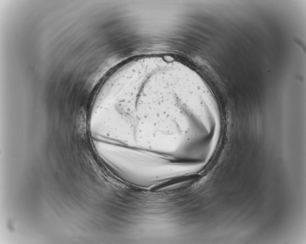 X0000099301457200805301123