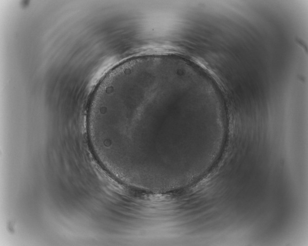 X0000099301459200805301123