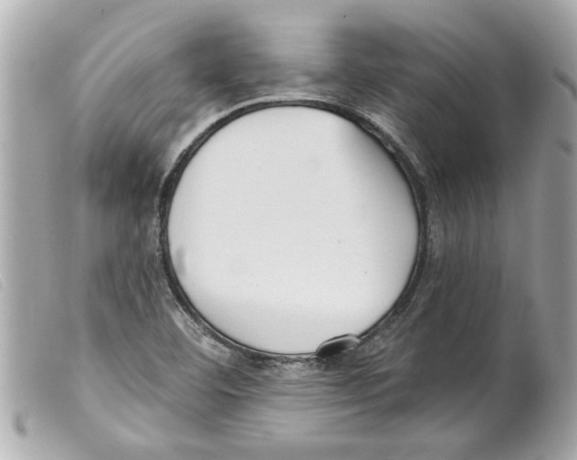 X0000099301460200805301123