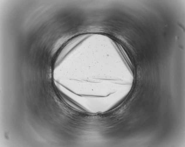 X0000099301461200805301123