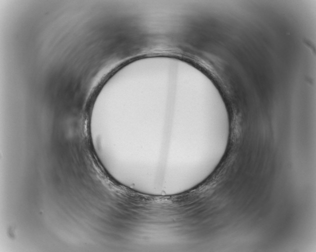 X0000099301462200805301123