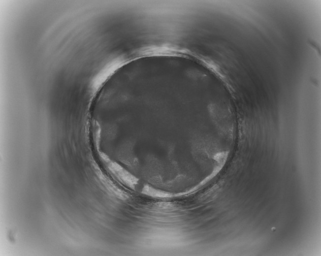 X0000099301463200805301123