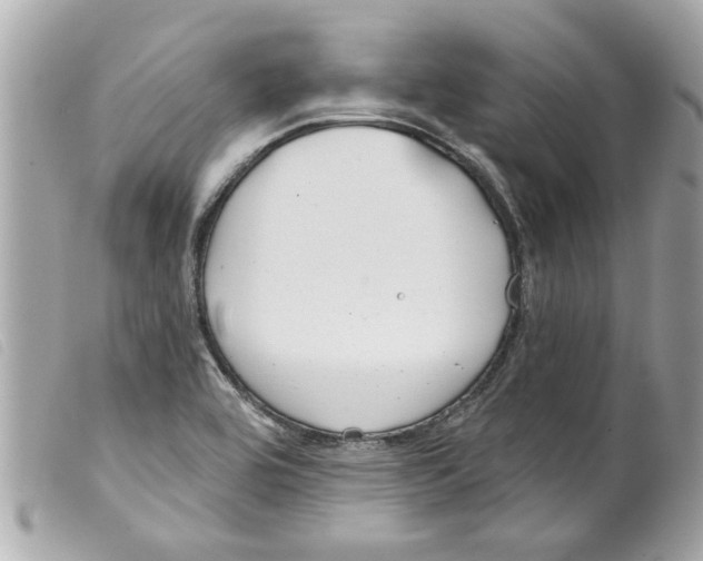 X0000099301464200805301123