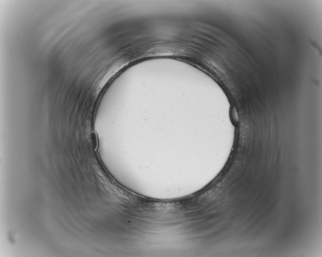 X0000099301465200805301123