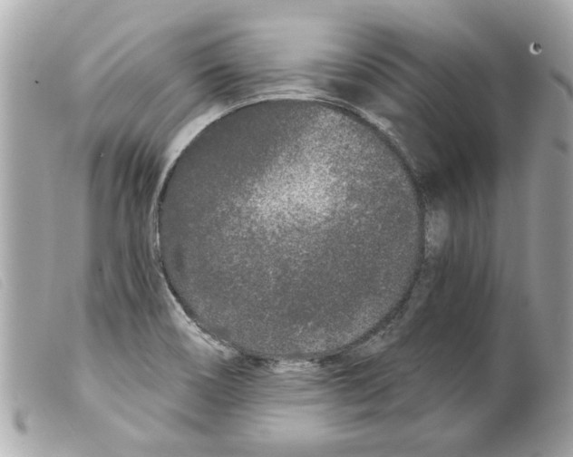 X0000099301466200805301123