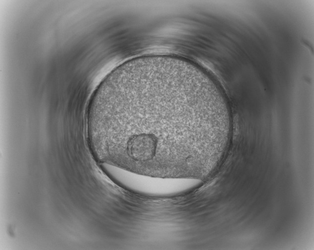 X0000099301467200805301123