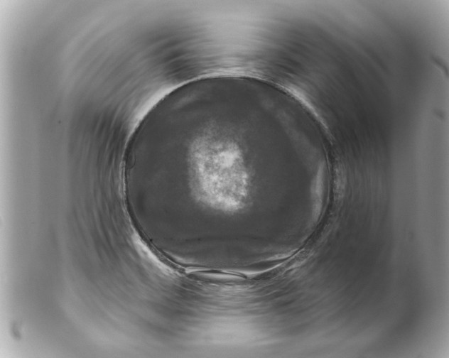 X0000099301468200805301123