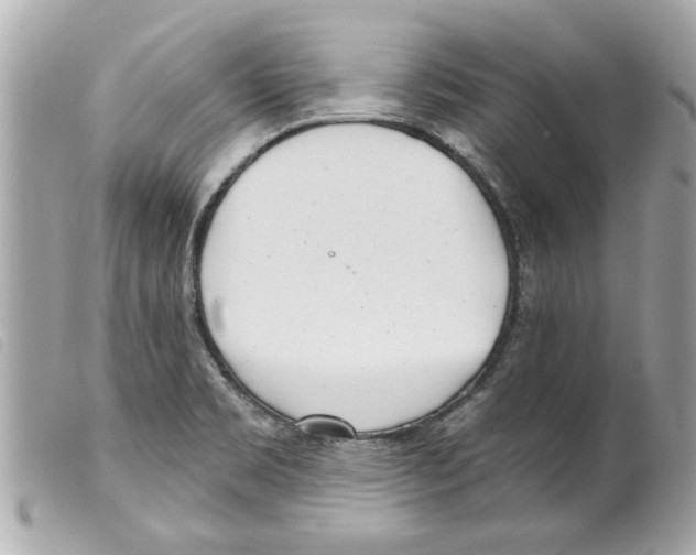 X0000099301469200805301123