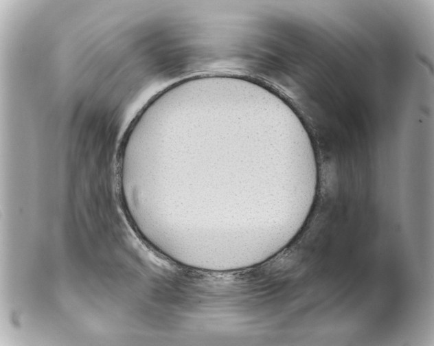 X0000099301470200805301123