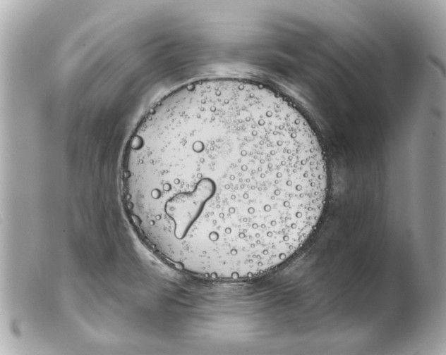 X0000099301471200805301123