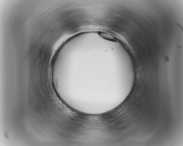 X0000099301472200805301123