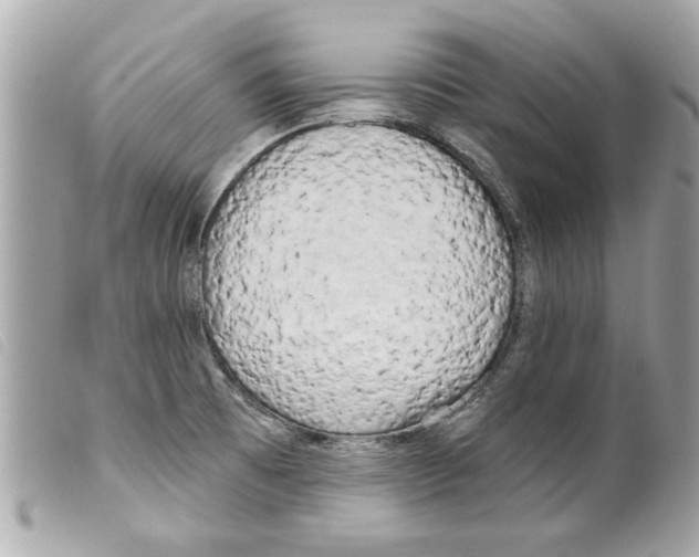 X0000099301473200805301123