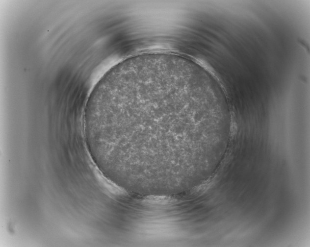 X0000099301474200805301123