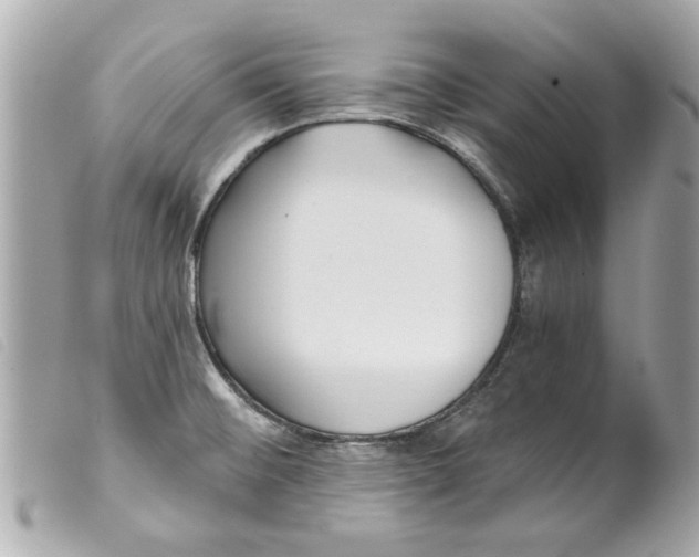 X0000099301476200805301123