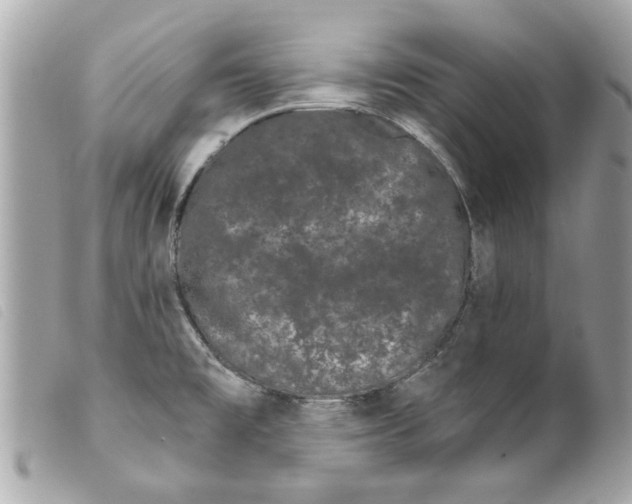 X0000099301477200805301123