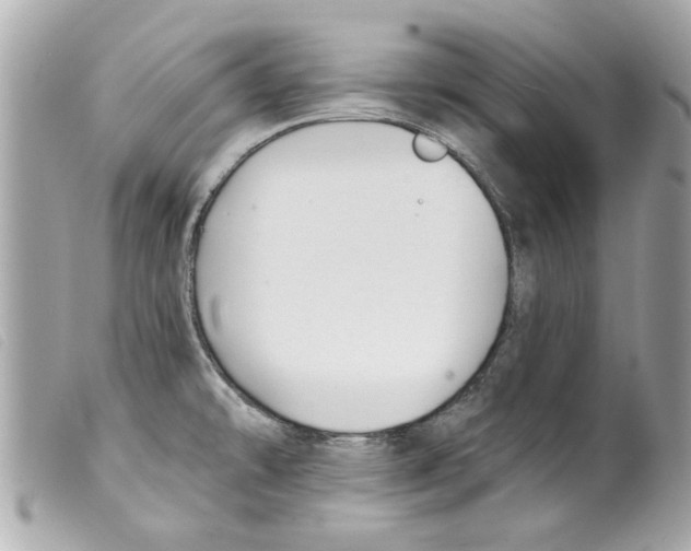 X0000099301478200805301123