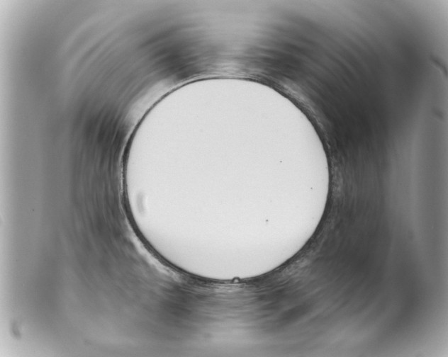 X0000099301479200805301123