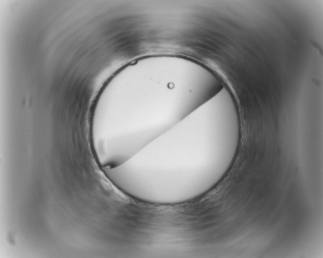 X0000099301480200805301123