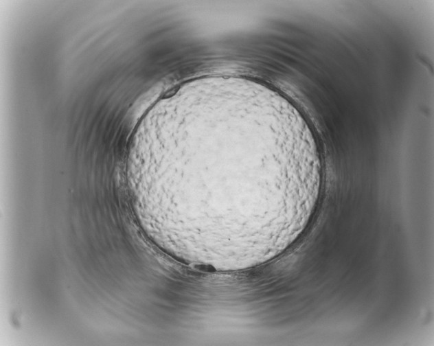 X0000099301481200805301123