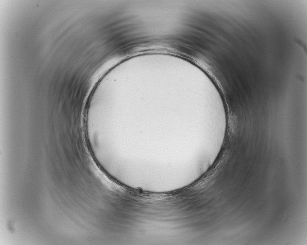 X0000099301482200805301123