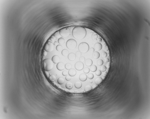 X0000099301483200805301123