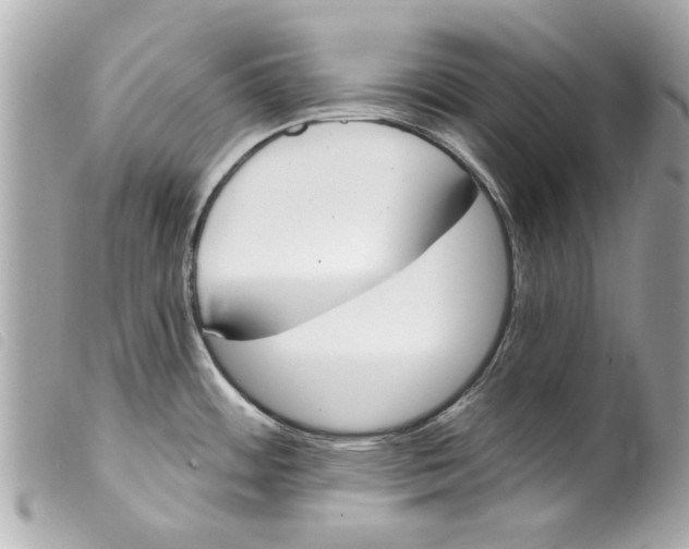 X0000099301484200805301123