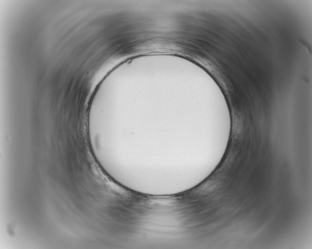 X0000099301486200805301123