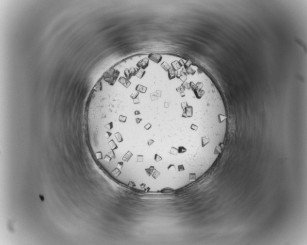 X0000099301487200805301123