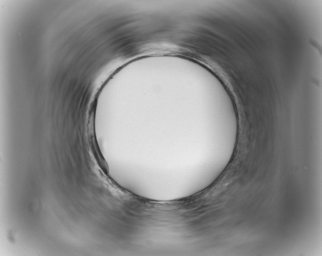 X0000099301488200805301123