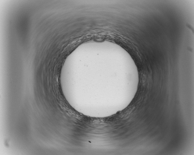 X0000099301489200805301122