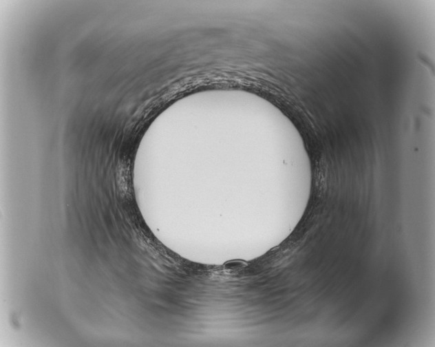 X0000099301490200805301122