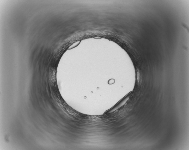 X0000099301492200805301122