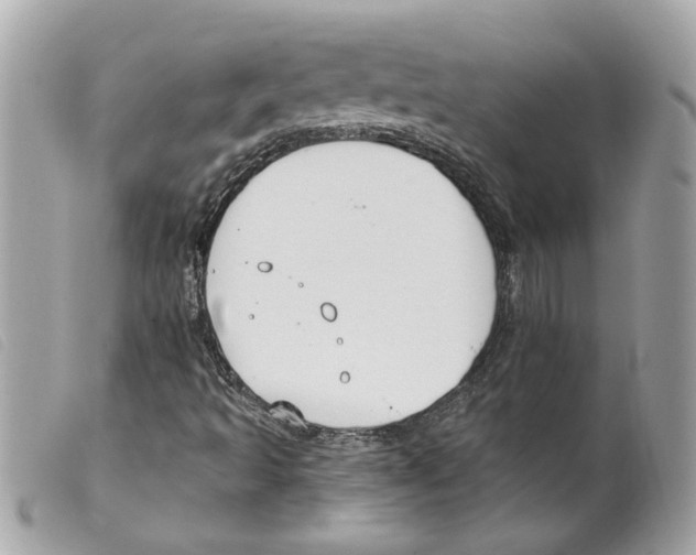 X0000099301493200805301122