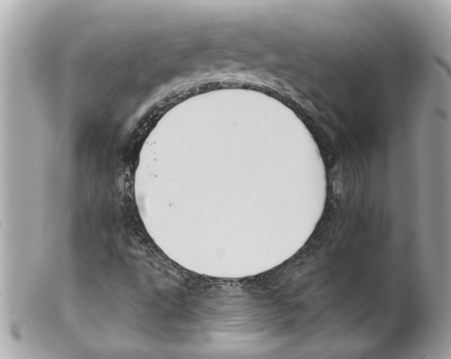 X0000099301495200805301122