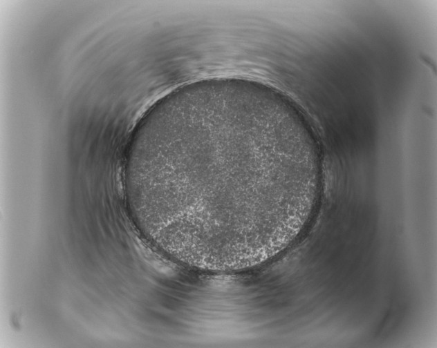 X0000099301497200805301122