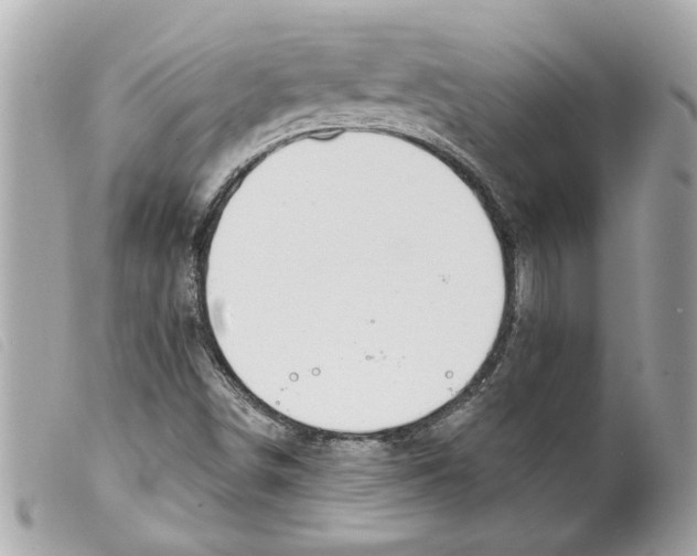 X0000099301498200805301122